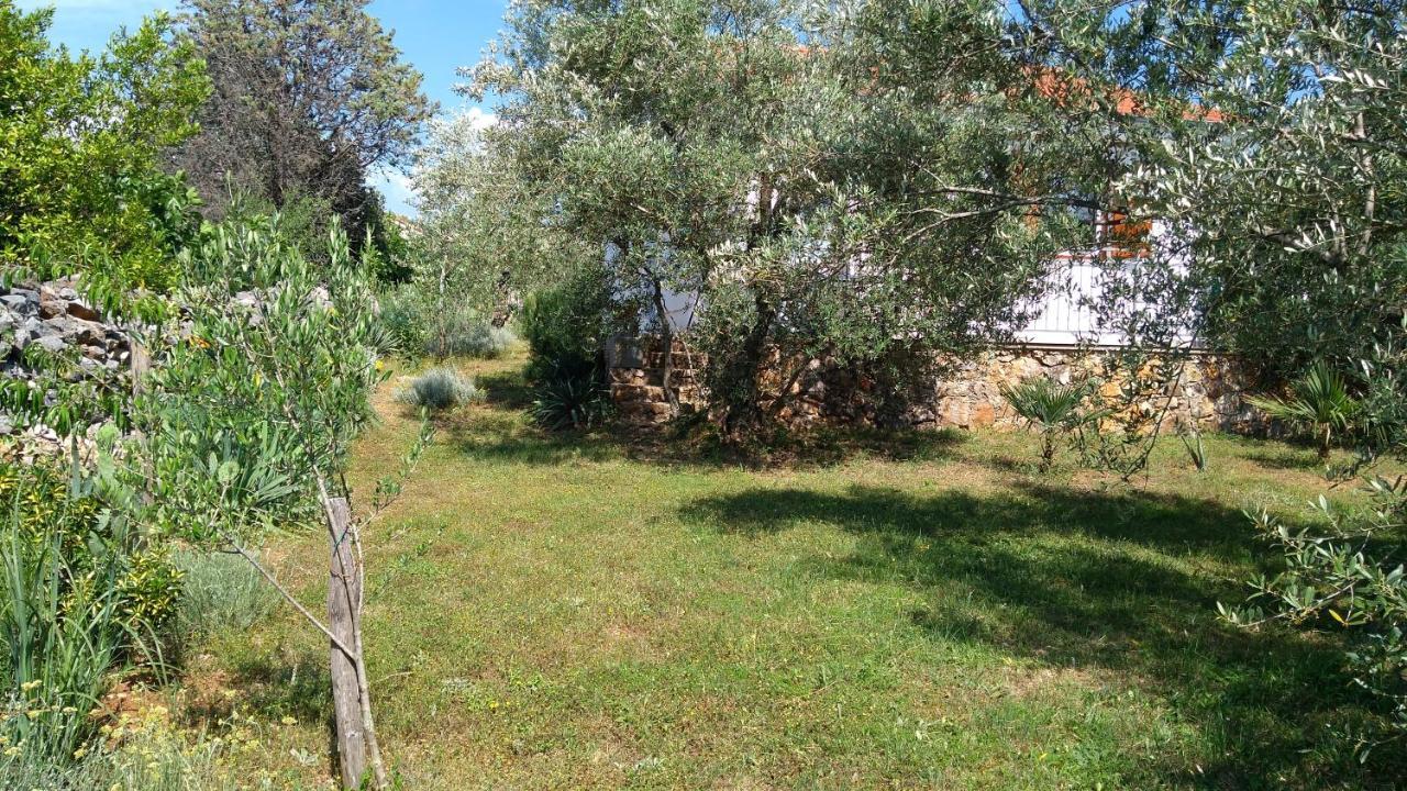 Apartman Ruza Brzac Eksteriør bilde