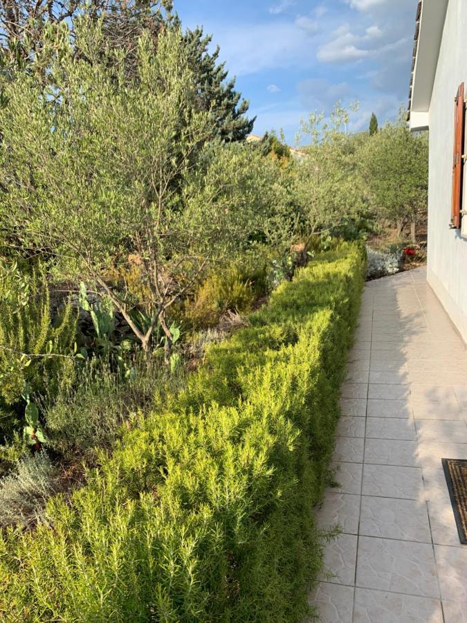 Apartman Ruza Brzac Eksteriør bilde